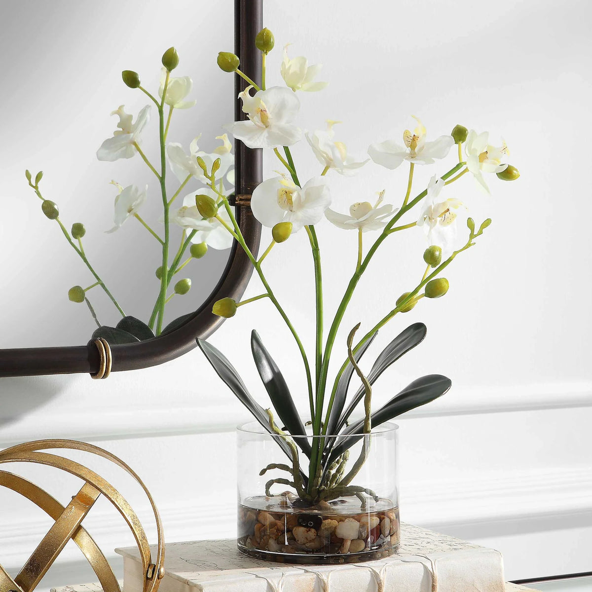 Orchid