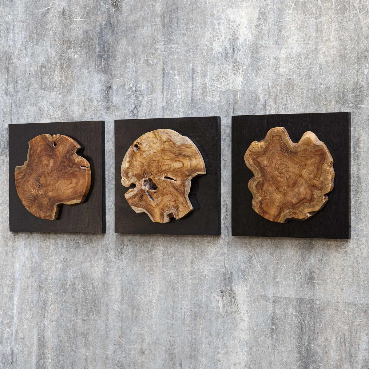 Teak Wood Wall Decor Set/3