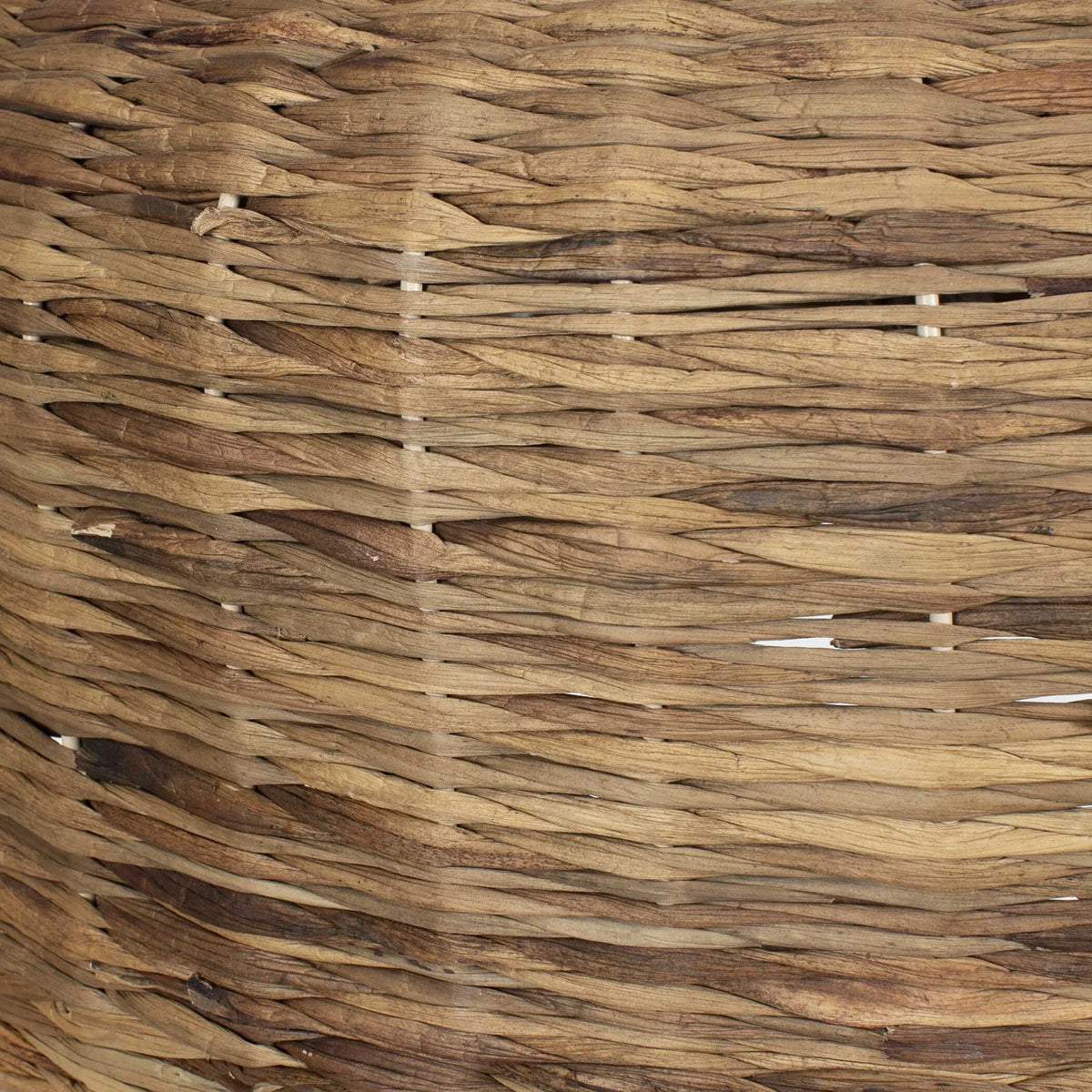 Seagrass 5 Light Pendant