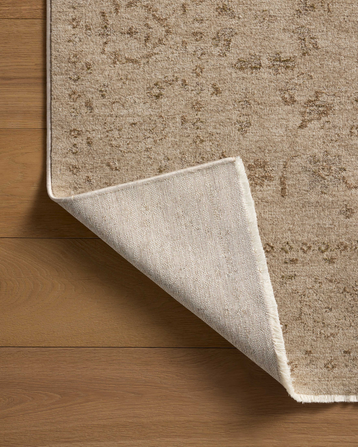 Loloi Area Rug
