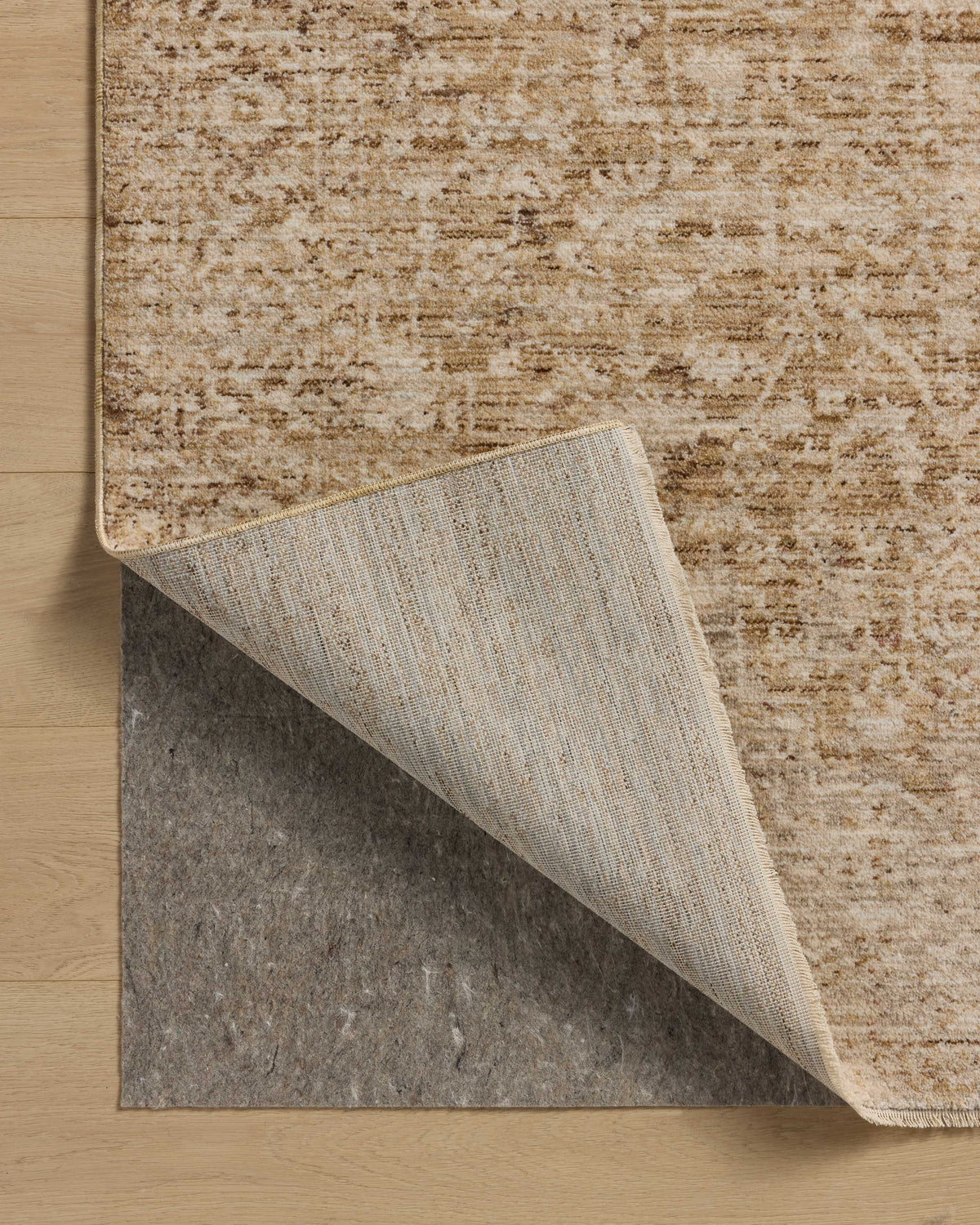 Loloi Newman Area Rug