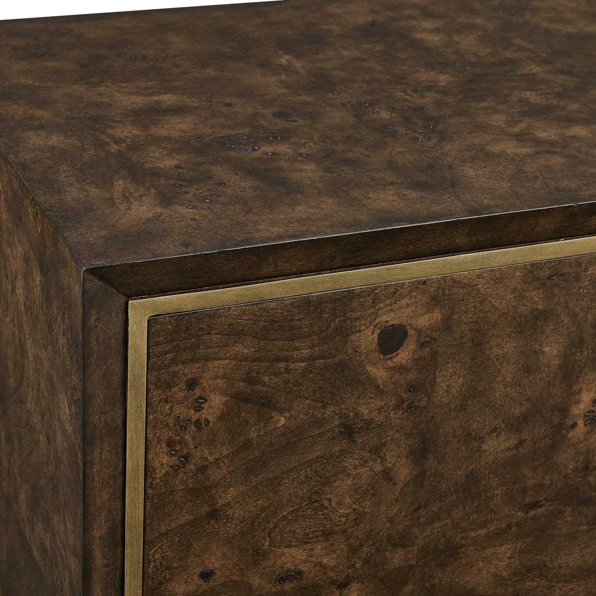 Burl Wood 2-Door Cabinet