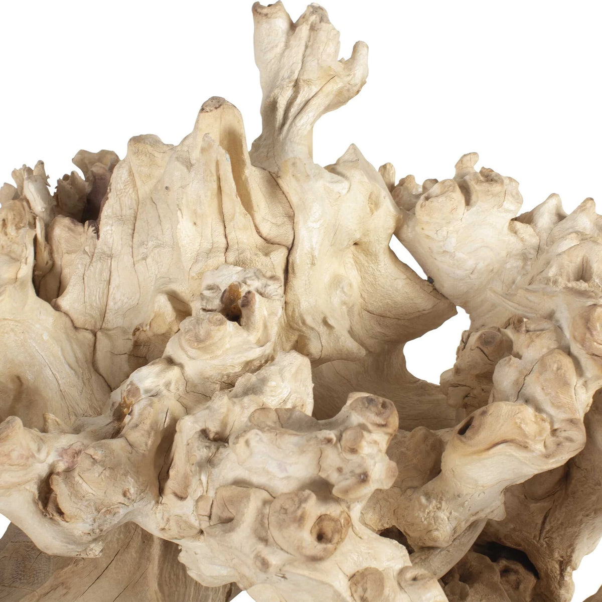 Root Outdoor Sculptures Set of 2