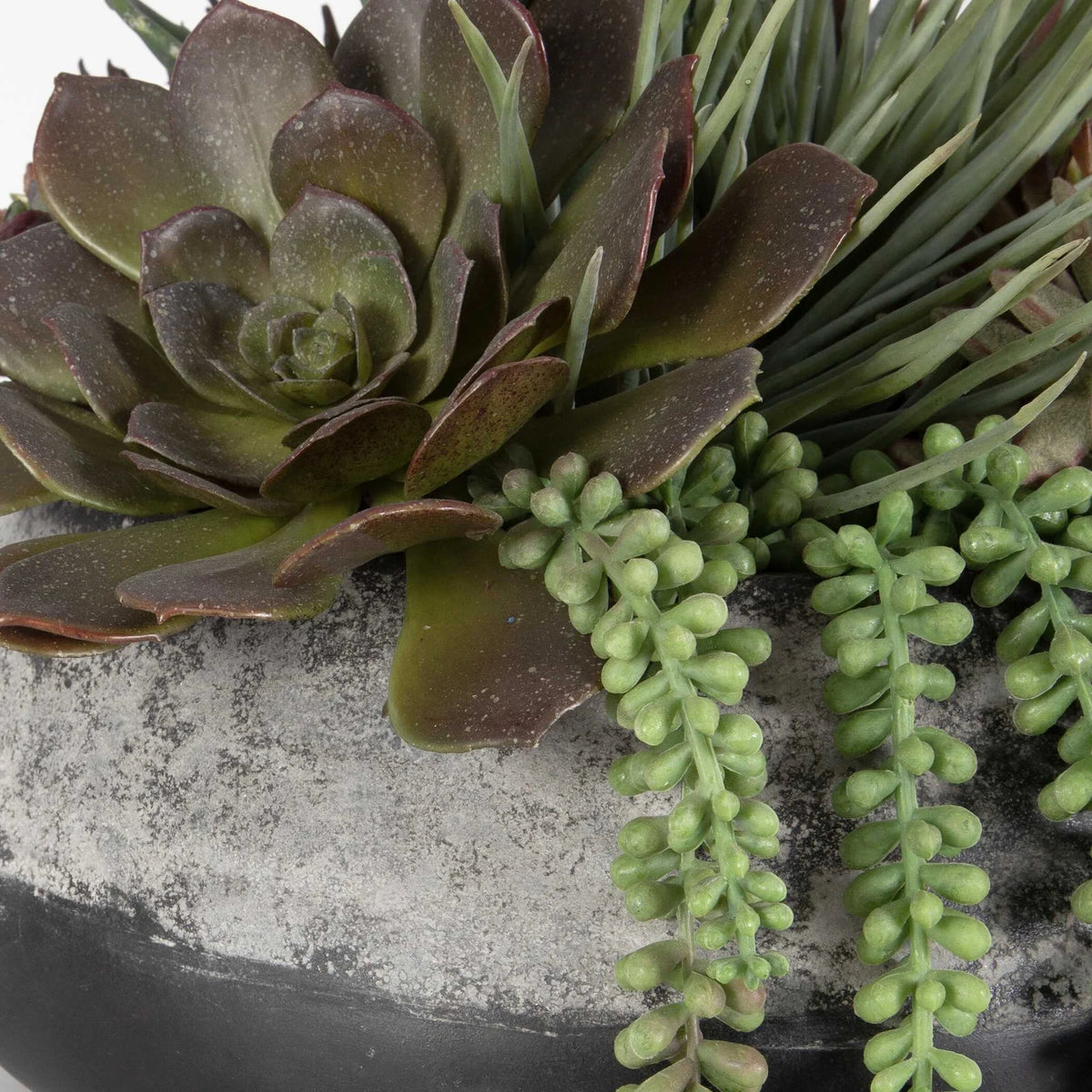 Green Succulent Centerpiece