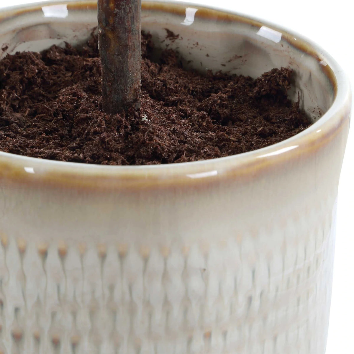 Olive Accent in Textured Ceramic Vase