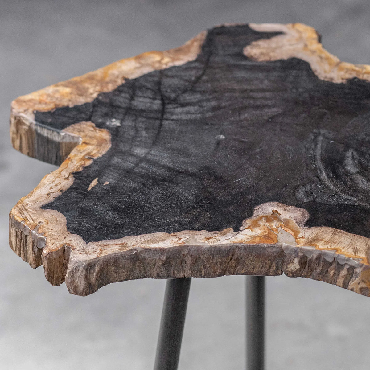Petrified Wood Accent Table