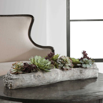 Lush Succulents