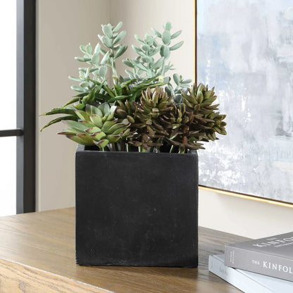 Indoor-Outdoor Succulent Arrangement