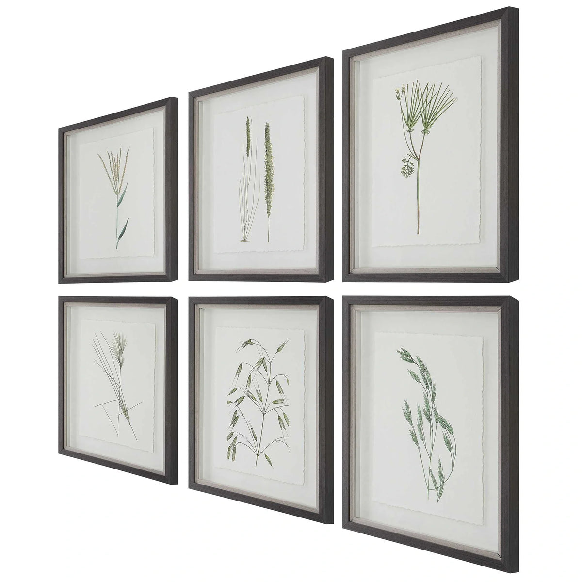 Botanical Framed Prints, Set of 6