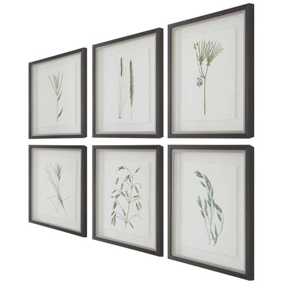 Botanical Framed Prints, Set of 6