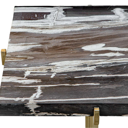 Petrified Wood Accent Table