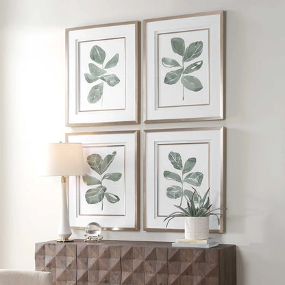 Fiddle Leaf Botanical Prints, Set of 4