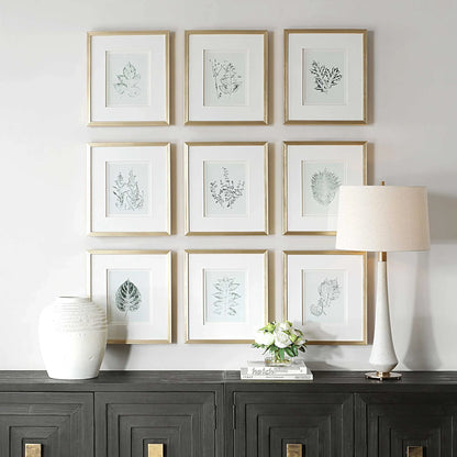 Script Framed Botanical Prints Set/9