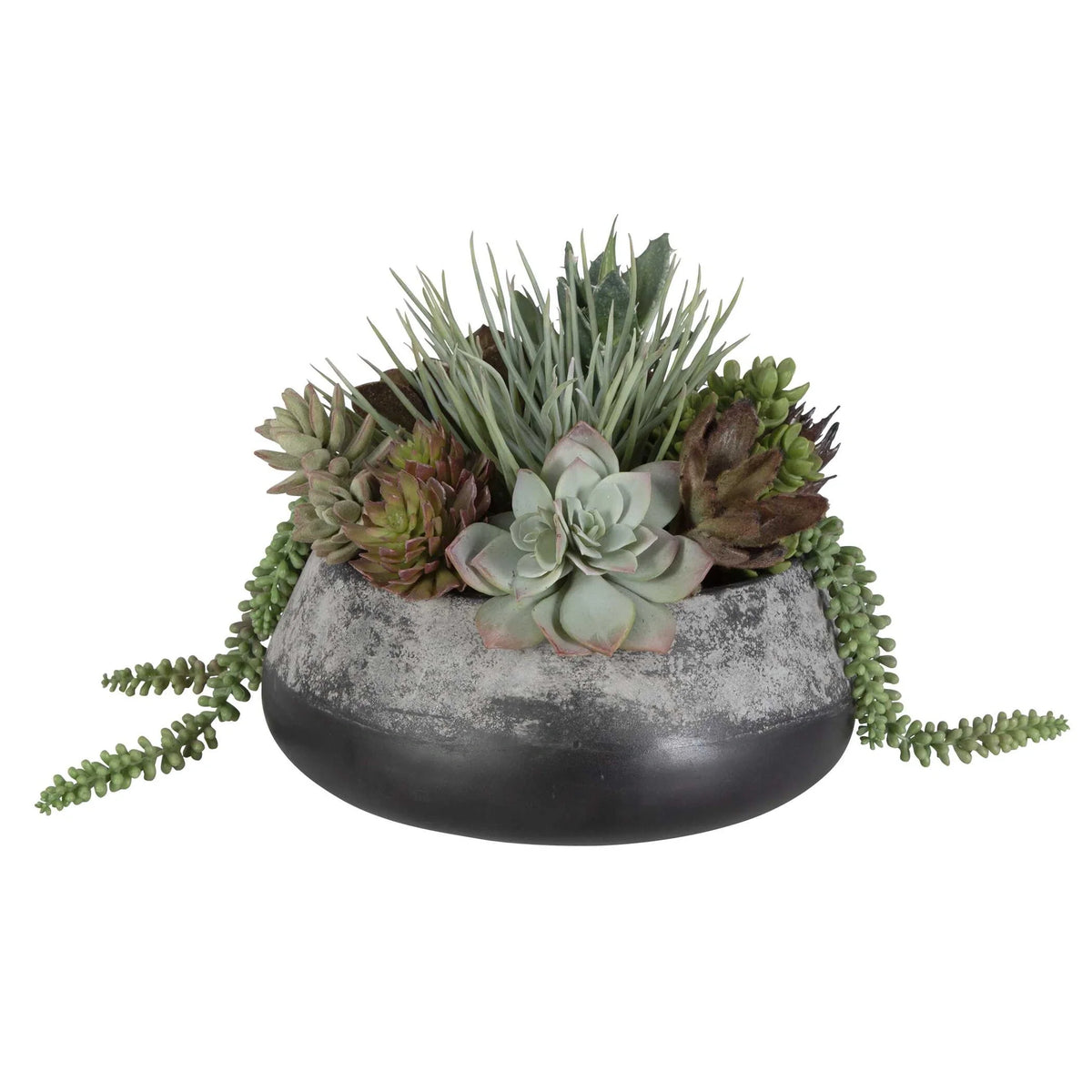 Green Succulent Centerpiece