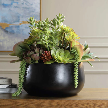 Indoor-Outdoor Succulent Centerpiece