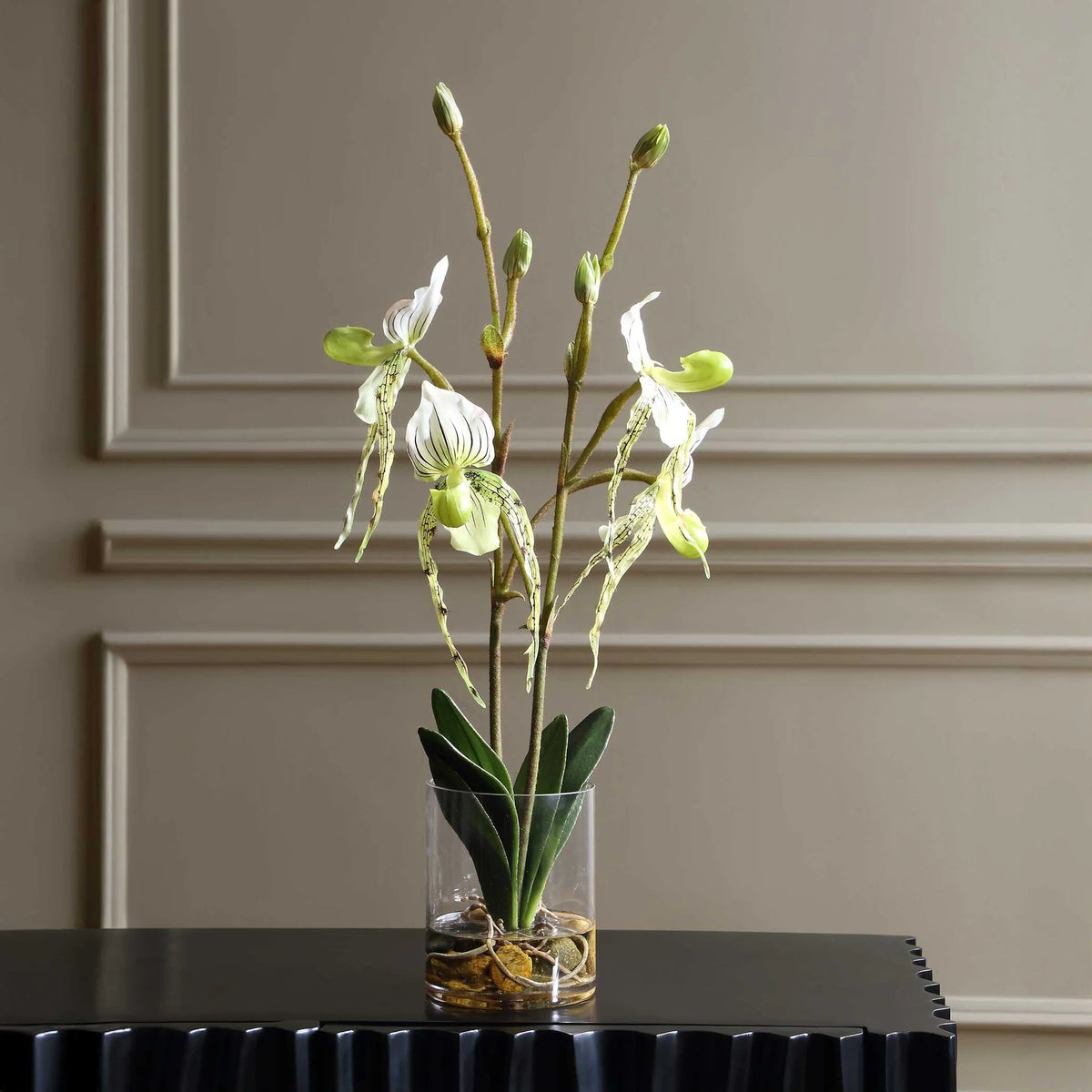 Slipper Orchid In Glass Vase