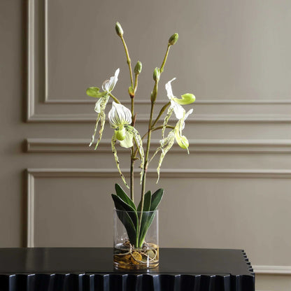 Slipper Orchid In Glass Vase