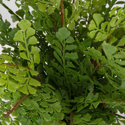 Fern In Oxidized Container
