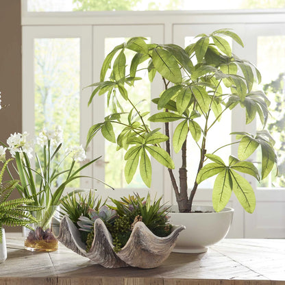 Faux Money Tree in Bowl
