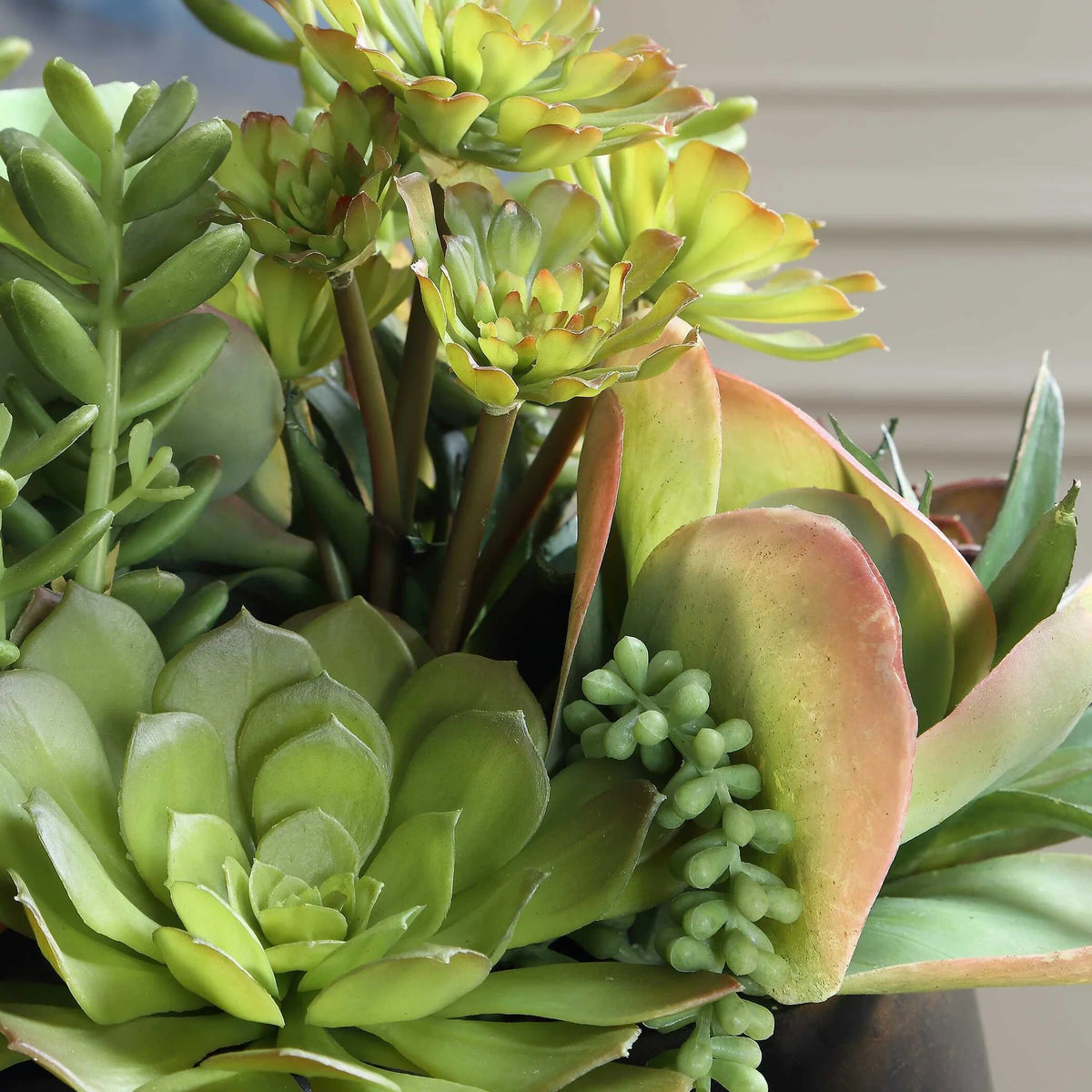 Indoor-Outdoor Succulent Centerpiece