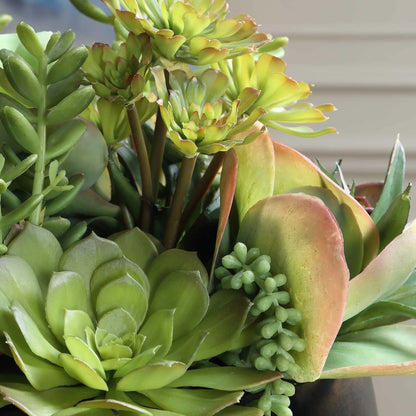 Indoor-Outdoor Succulent Centerpiece
