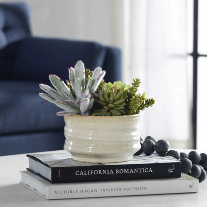 Succulent Accent