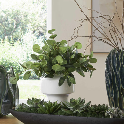 Eucalyptus Accent & Vase