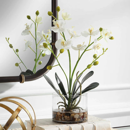 Orchid