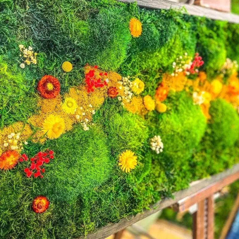 Handcrafted Framed Preserved Moss Wall Art | Botanical Panel with Wildflowers, No Maintenance | Seven Sizes to 60"