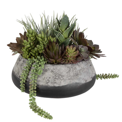 Succulent Centerpiece