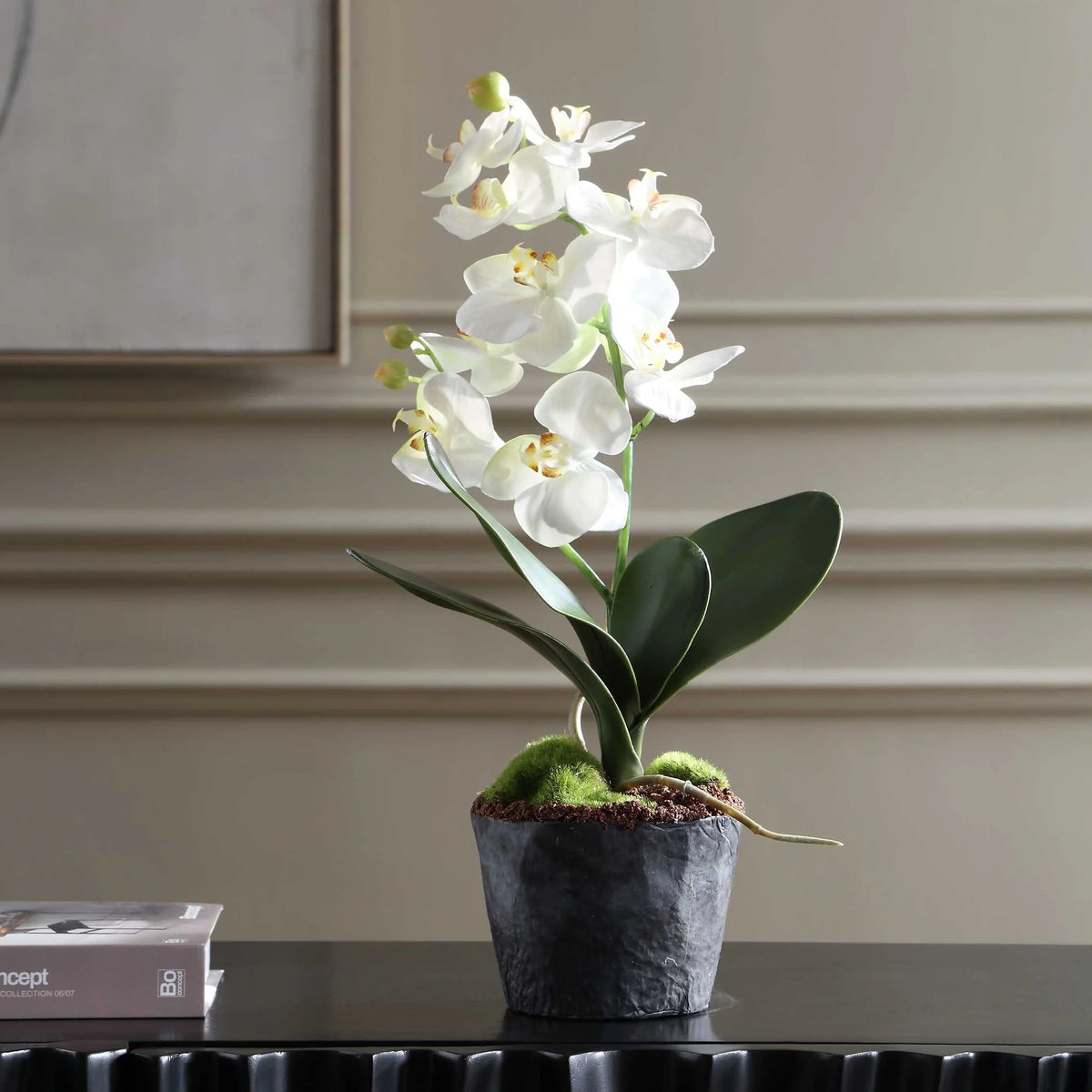 Orchid Drop-In