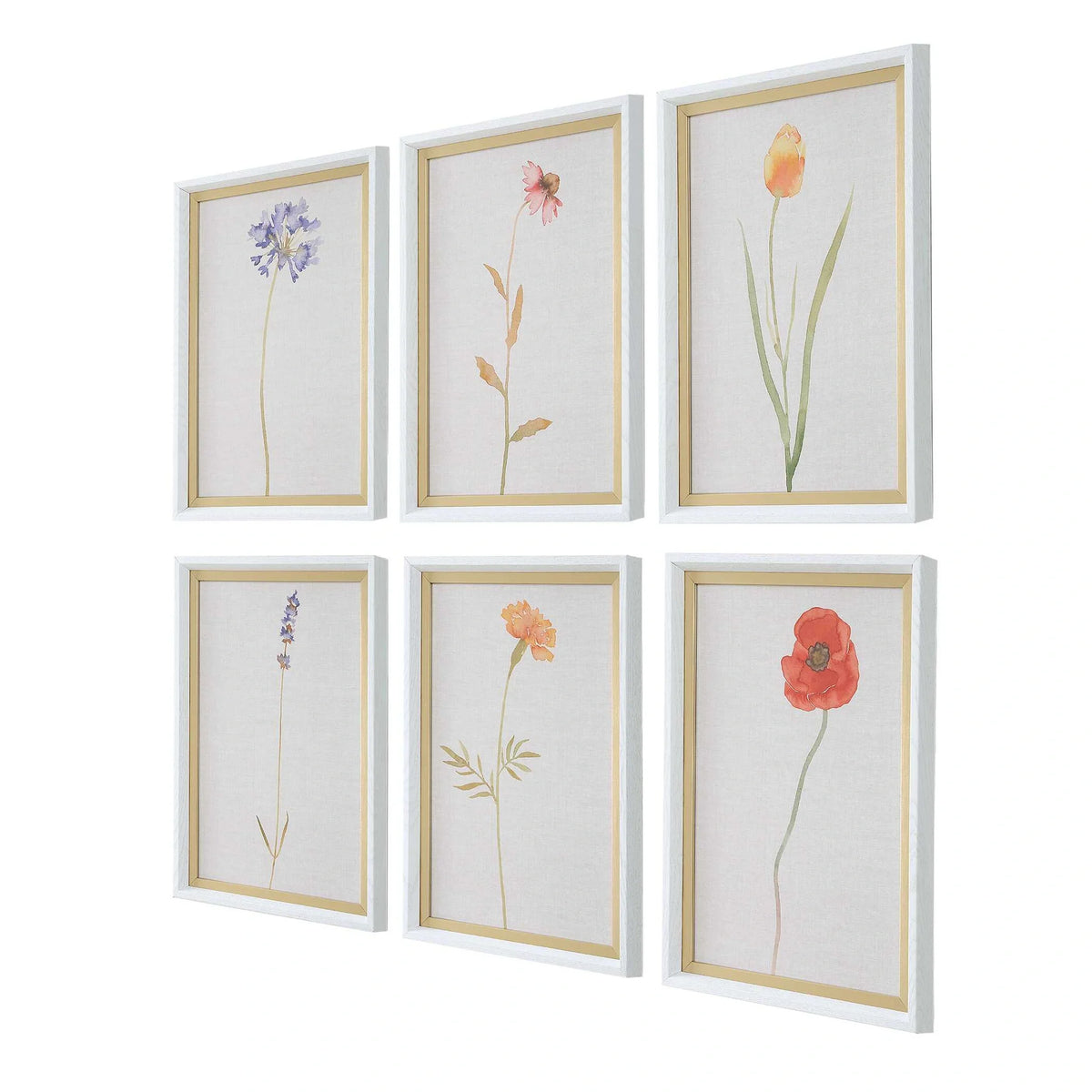 Framed Floral Prints Set/6