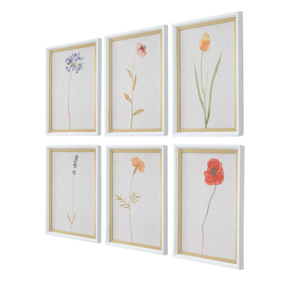 Framed Floral Prints Set/6