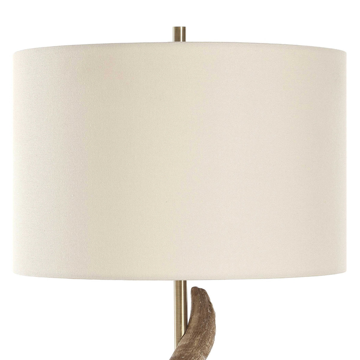 Sculptural Horn Table Lamp