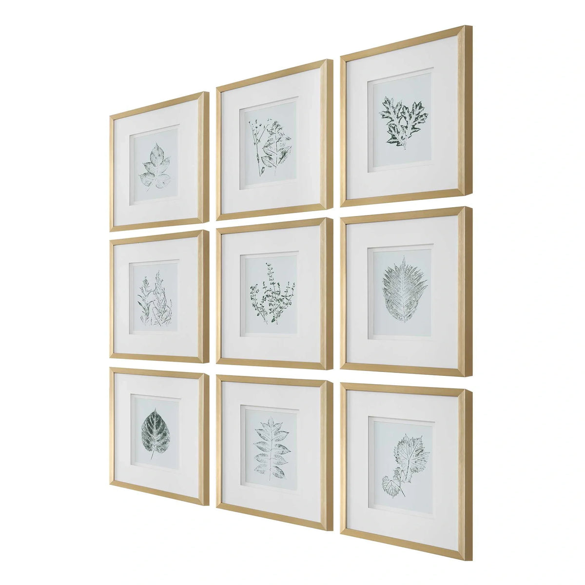 Script Framed Botanical Prints Set/9