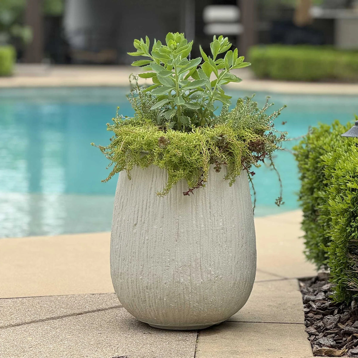 Off-White Outdoor Planter