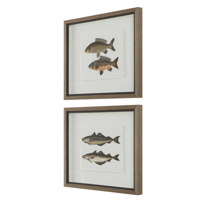Framed Fish Prints Set/2