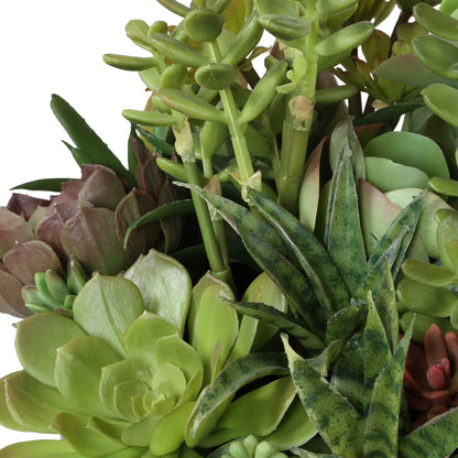 Indoor-Outdoor Succulent Centerpiece