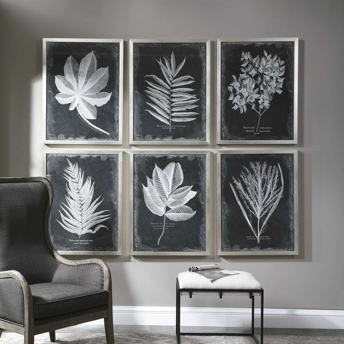 Botanical Leaf Prints, Set of 6