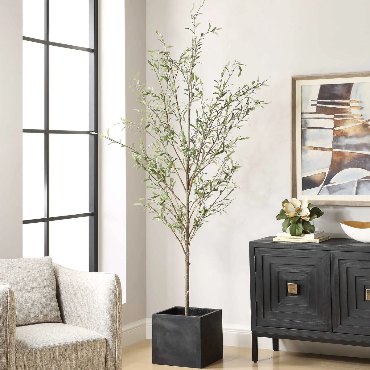 Potted Olive Tree