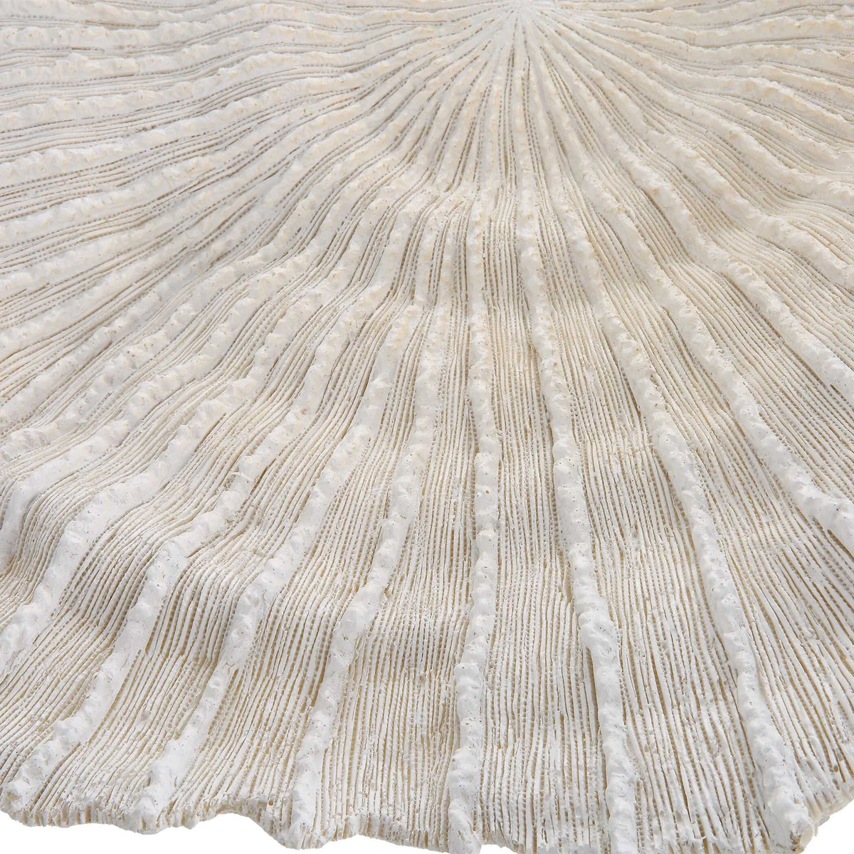 Sea Coral Wall Decor, Set of 3
