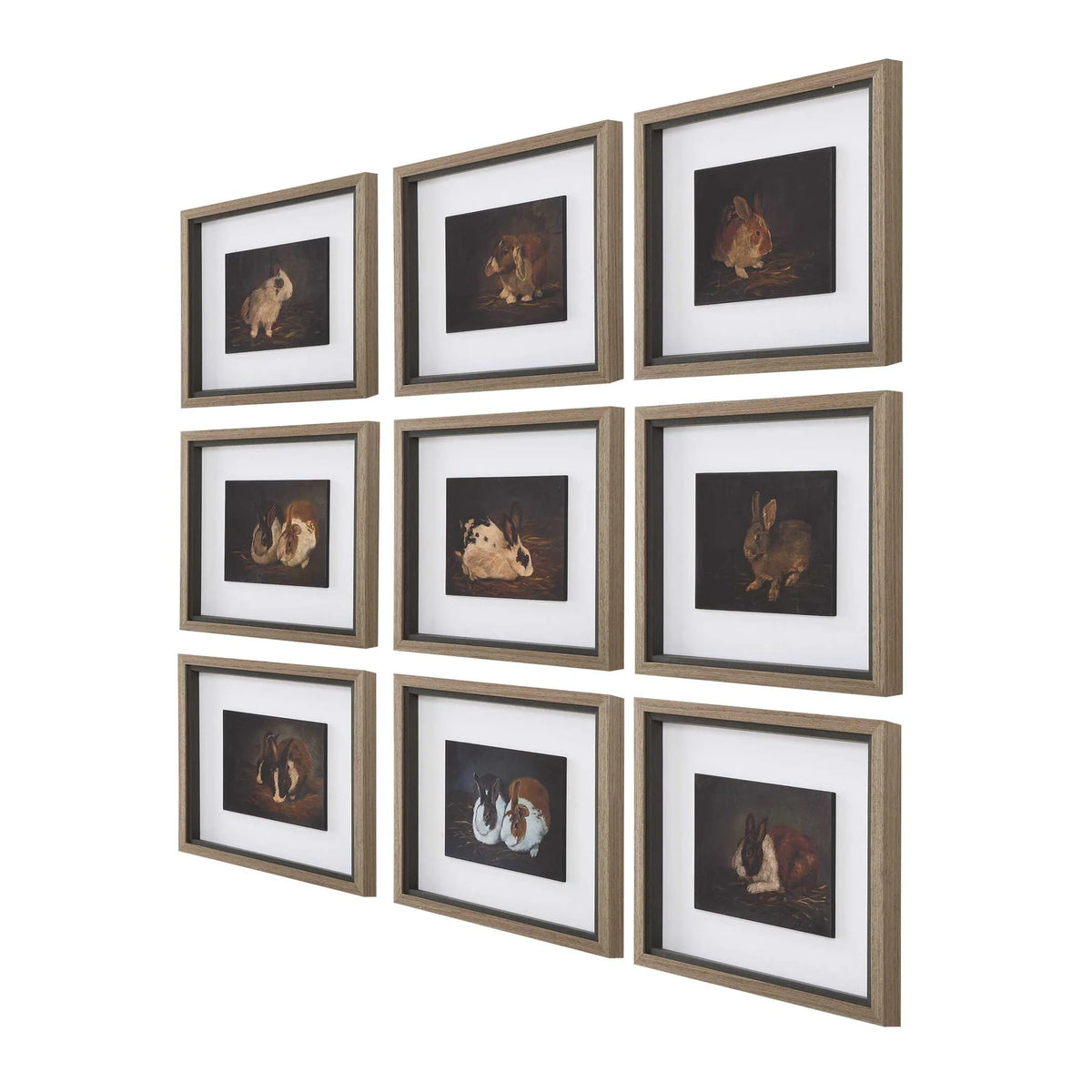 Framed Rabbit Prints, Set of 9