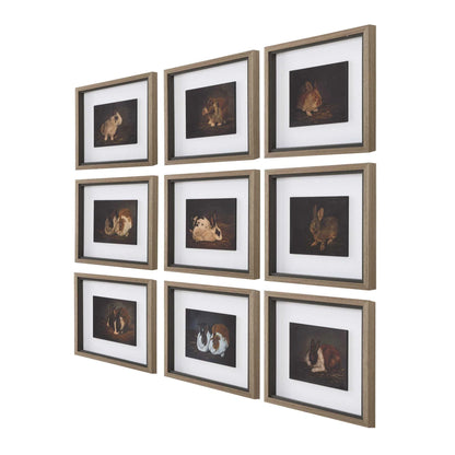 Framed Rabbit Prints, Set of 9