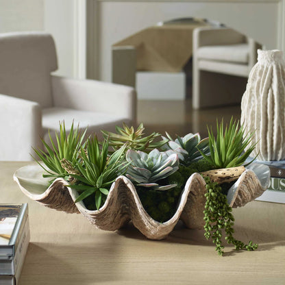Coastal Succulent Arrangement
