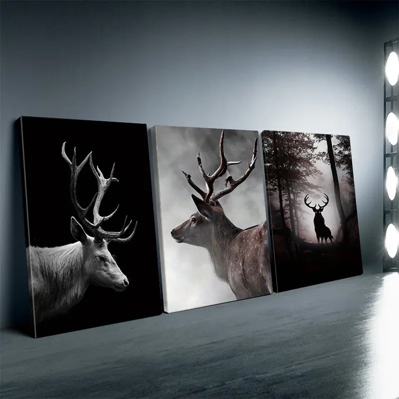 3-Piece Framed Wooden Canvas Set