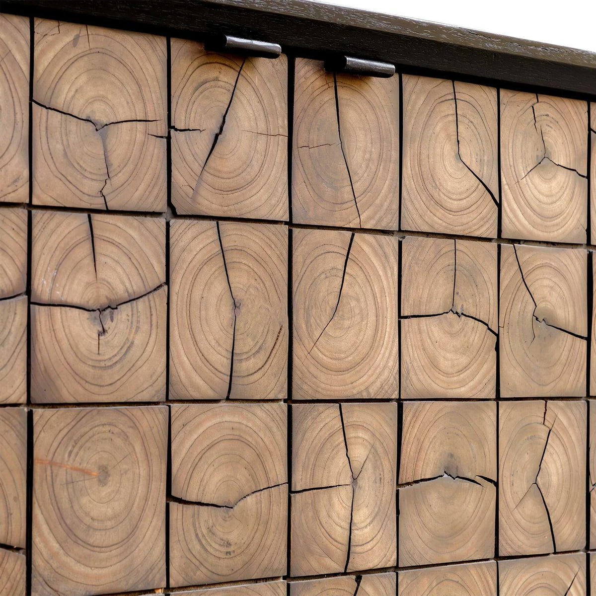 Wood Grain 2 Door Cabinet