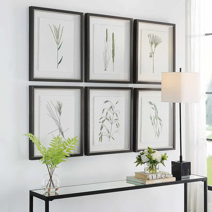 Botanical Framed Prints, Set of 6