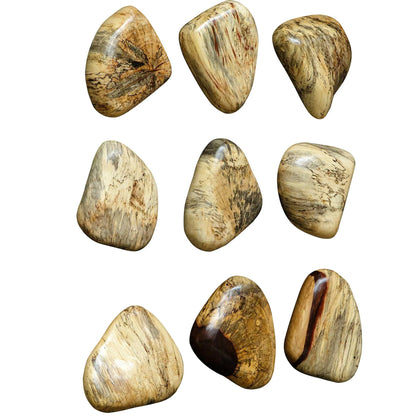 Wood Pebble Wall Decor, Set of 9