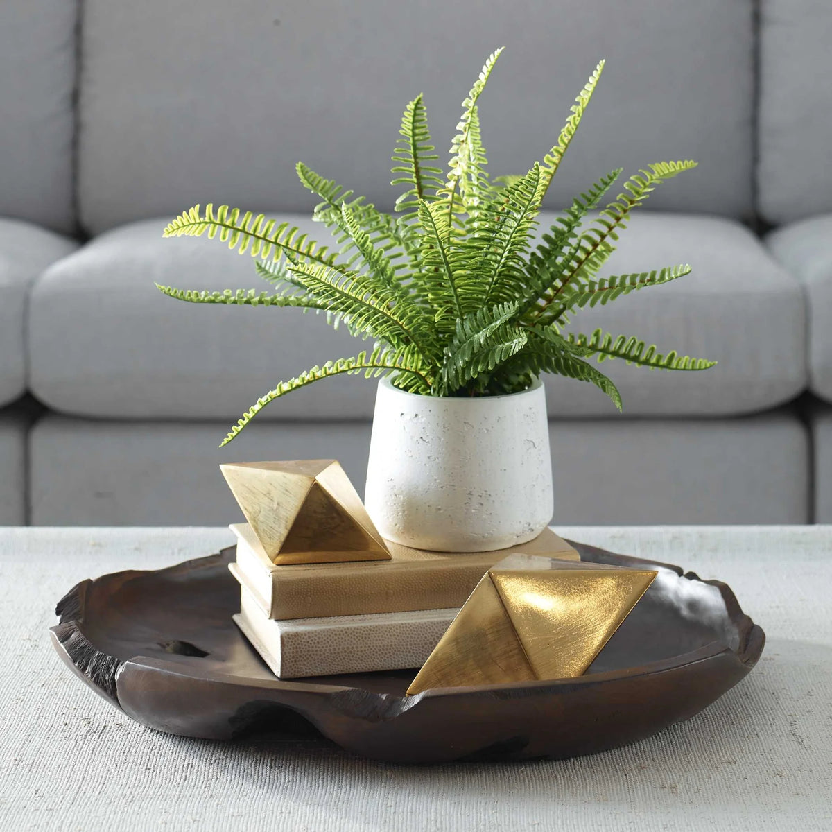 Boston Fern in White Ceramic Pot