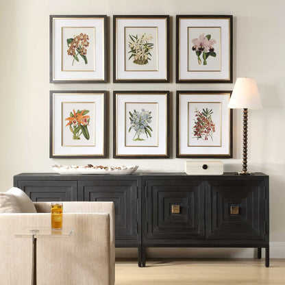 Framed Orchid Botanical Prints, Set of 6